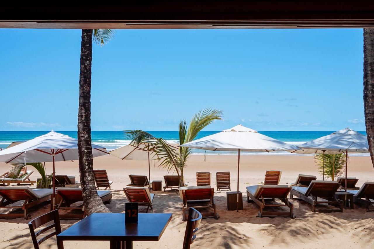Dreamland Bungalows - Taipu De Fora - Barra Grande Exteriér fotografie